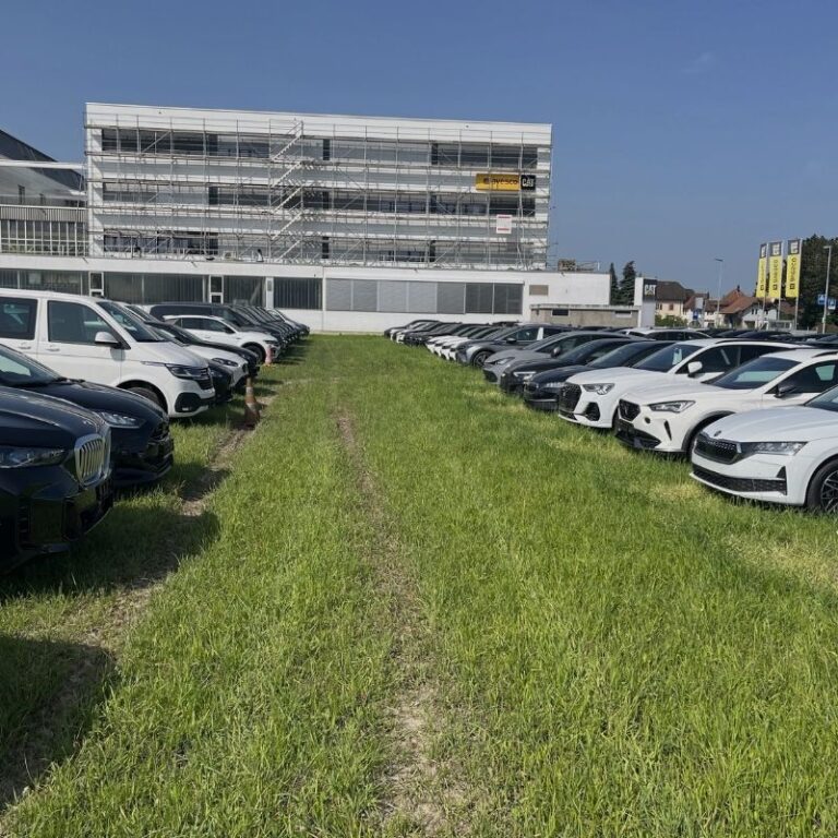 Midlertidig parkering til 250 biler