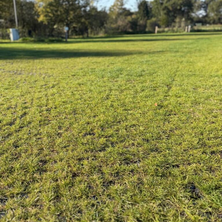 Græsarmering på en campingplads i Holland