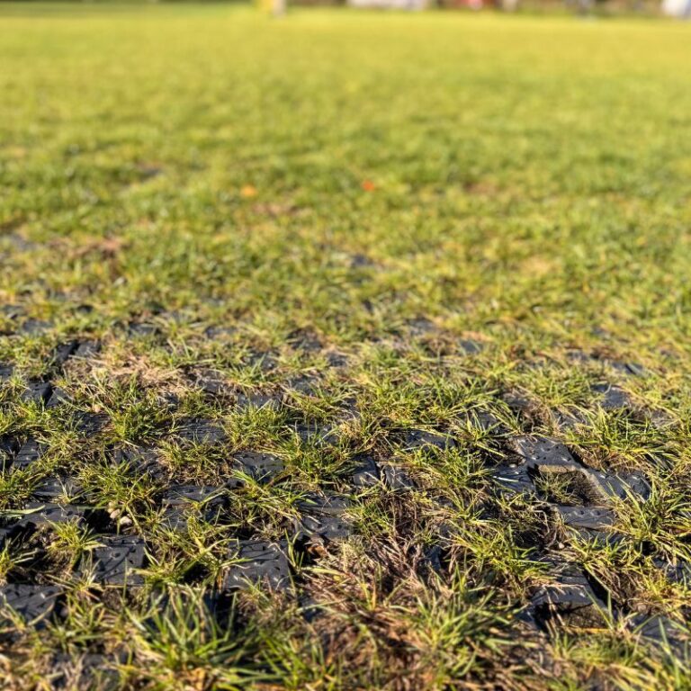 Græsarmering på en campingplads i Holland (7)
